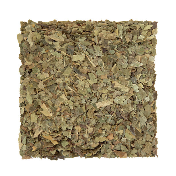 以草药为例图片下载