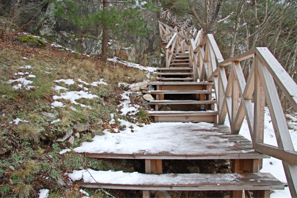 木中木径图片下载