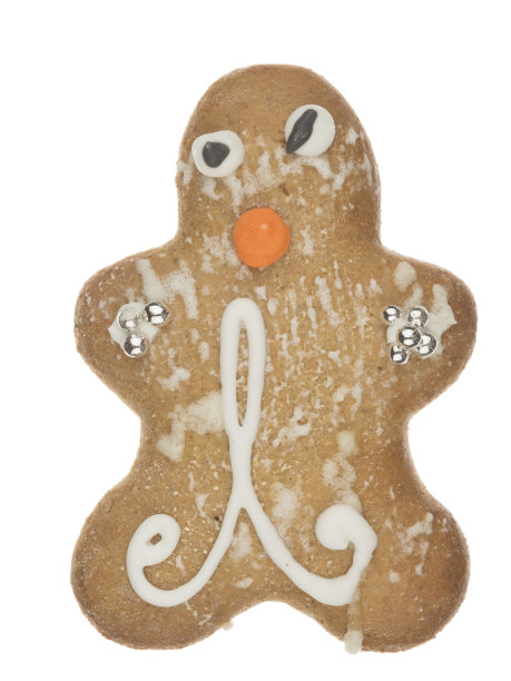 有趣的姜饼人图片下载