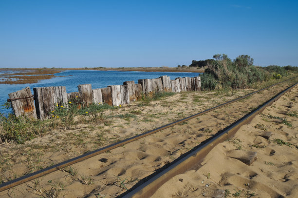 火车轨道到海滩图片下载