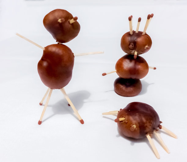 玩具从栗子图片下载