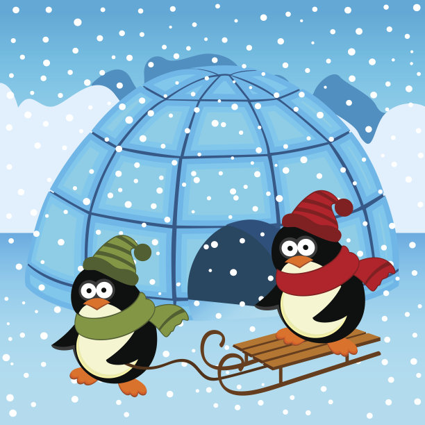 企鹅屋图片下载