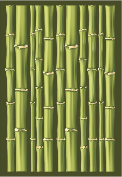 竹子的背景图片下载