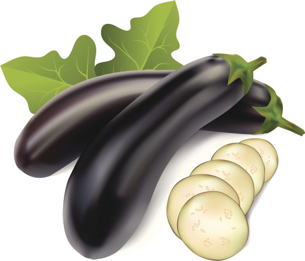 茄子用树叶图片下载