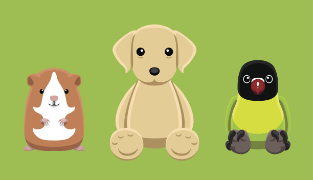 狗，爱鸟，豚鼠，宠物娃娃卡通矢量插图8图片下载
