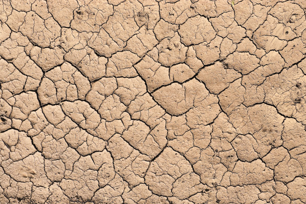 干燥的土地图片下载
