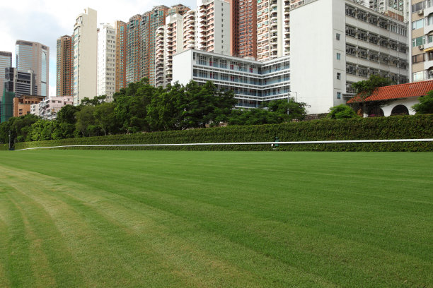 赛马场(XXXL)图片下载