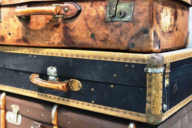 旧的树干图片下载