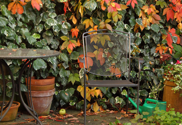 秋天在英国花园中安静沉思的地方图片下载