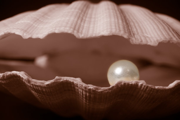 贝壳里的珍珠图片下载