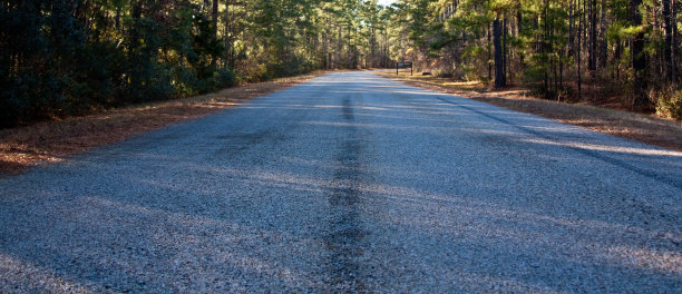 穿过树林的路图片下载
