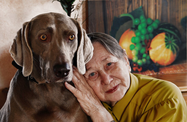 带狗的老女人图片下载