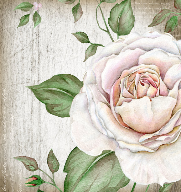 复古英伦玫瑰图片下载