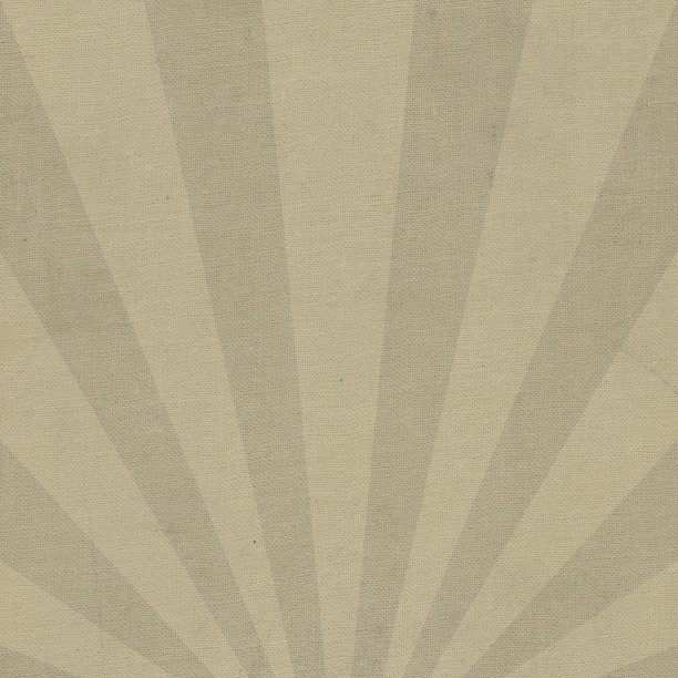 纹理织物与sunburst图像图片下载