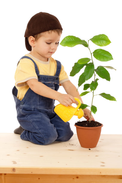 微笑的小男孩用黄色的罐子给植物浇水图片下载
