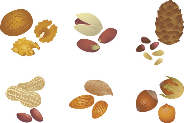 各种坚果图片下载