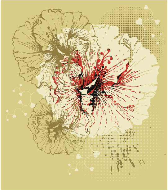 背景与盛开的木槿图片下载
