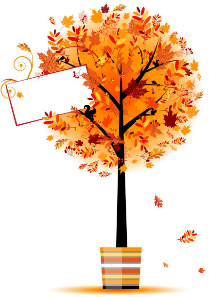 秋天的树为您的设计图片下载
