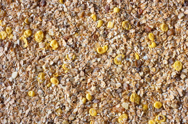 牛奶什锦早餐图片下载