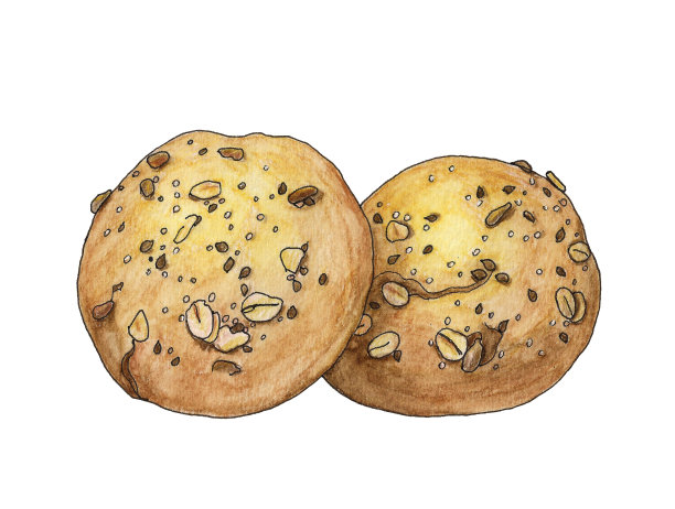 白色背景上有芝麻的两个包子图片下载