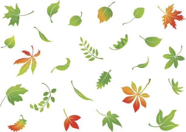 落叶集图片下载