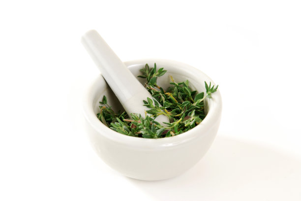 杵里的新鲜百里香图片下载