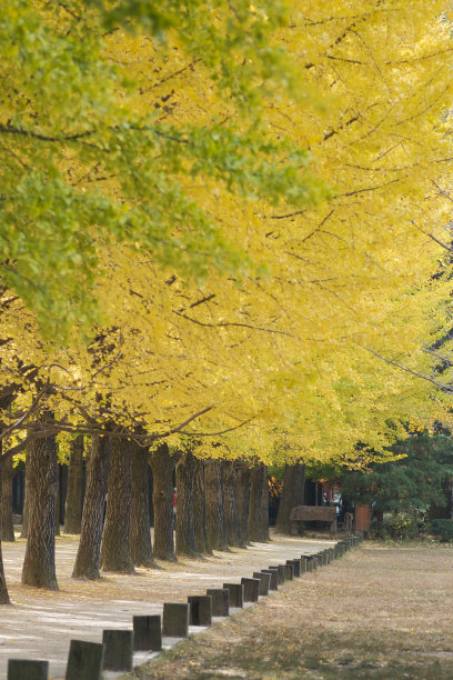 季节变化图片下载