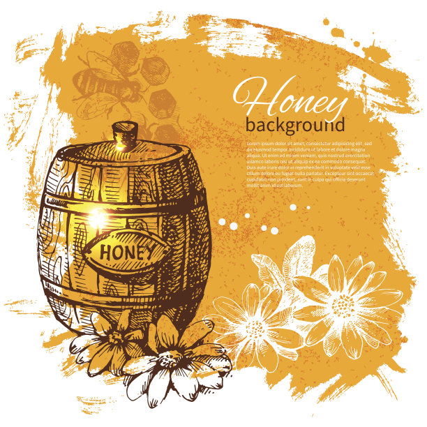 蜂蜜背景与手绘素描插图图片下载