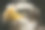 秃鹰 3图片下载