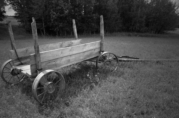 国家的车图片下载