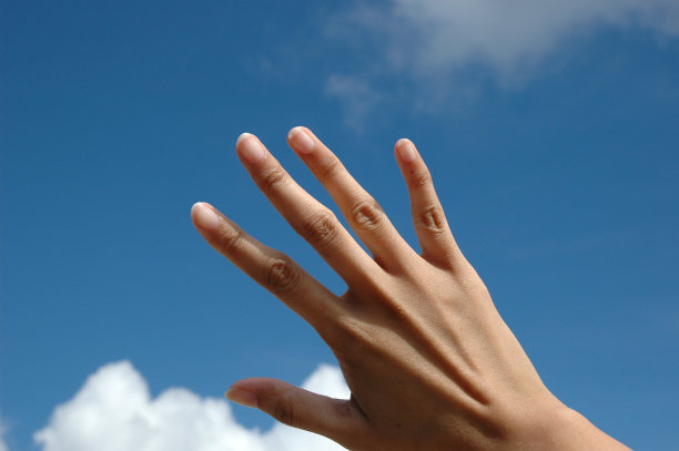 飞向天空图片下载