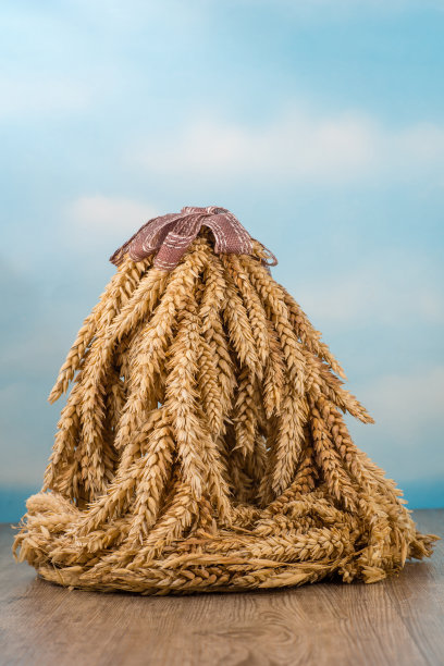 感恩节图片下载