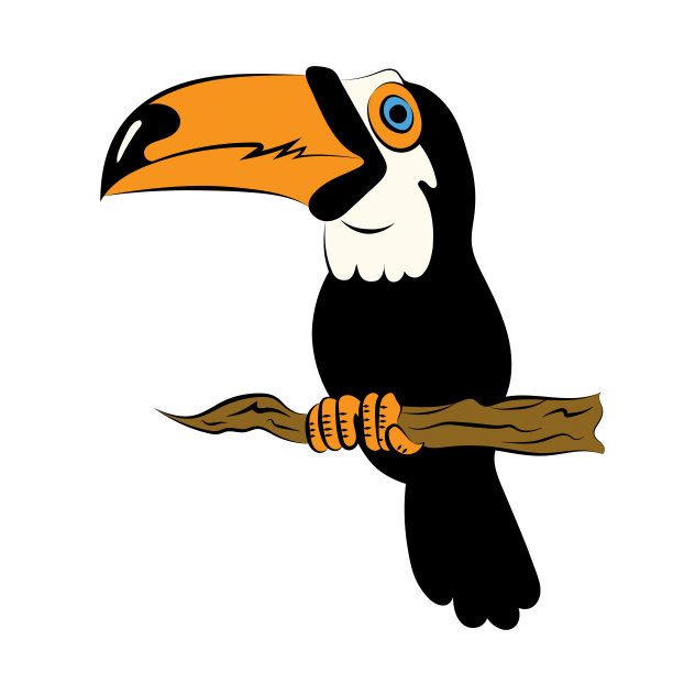 图中的巨嘴鸟坐在树枝上图片下载