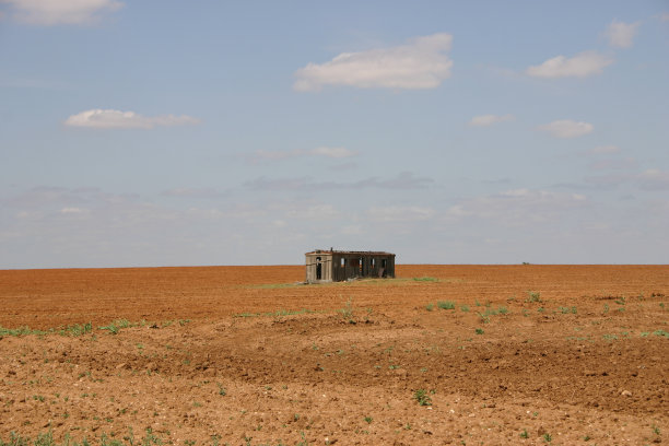 在泥土中分解图片下载