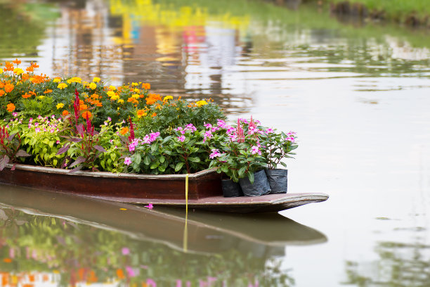 木船上的花。图片下载