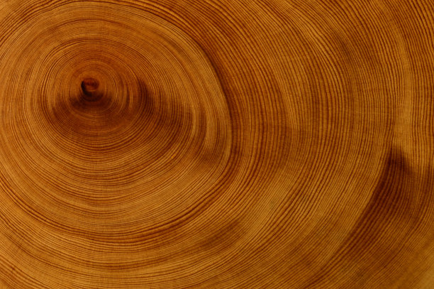 背景-香松图片下载