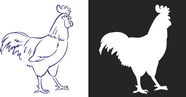 公鸡在白色和黑色的剪影图片下载