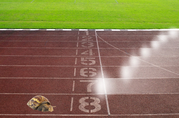 蜗牛在运动跑道上赛跑图片下载
