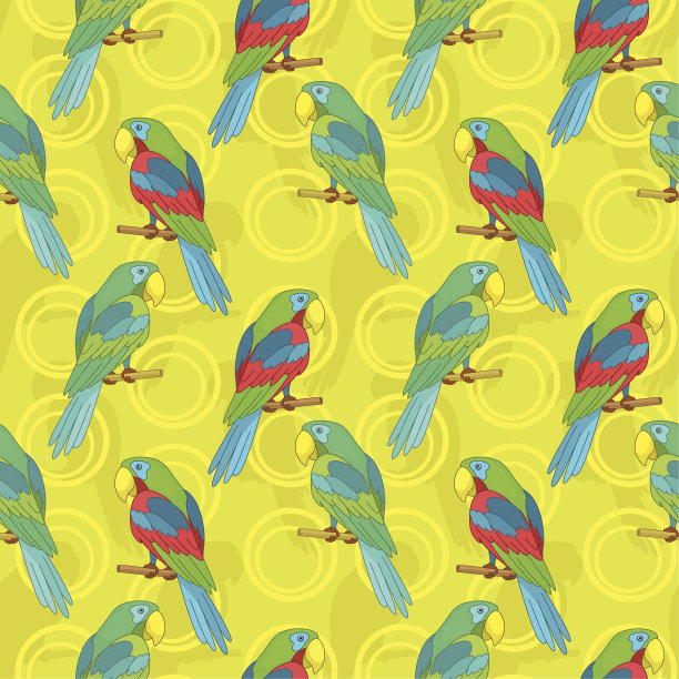 无缝的背景,鹦鹉图片下载