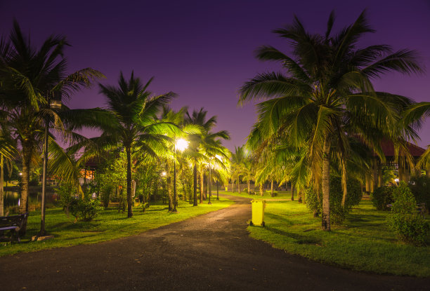 花园锻炼。图片下载