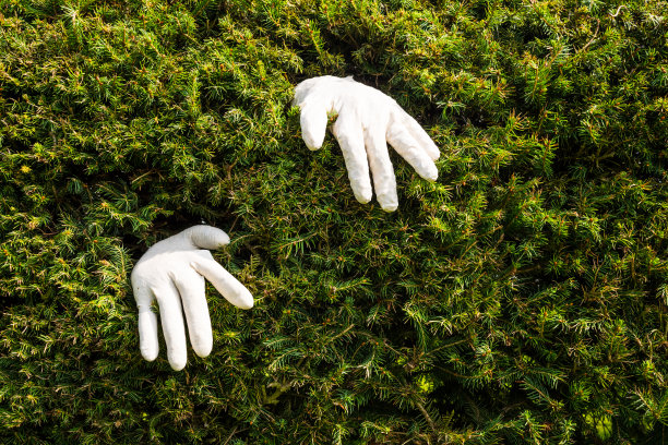 通过对冲图片下载