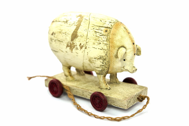 白底上的白猪。图片下载