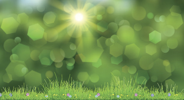 春天的背景是绿草图片下载