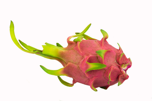 龙的水果图片下载