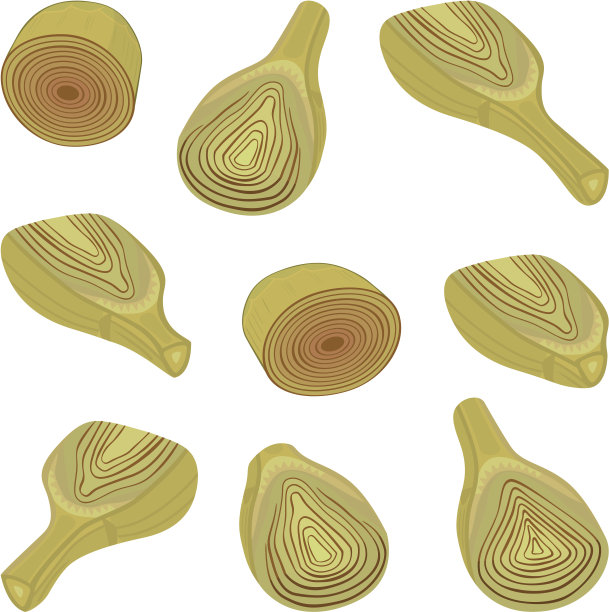 洋蓟心图片下载