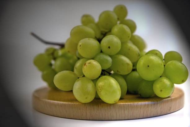 绿色酿酒葡萄图片下载