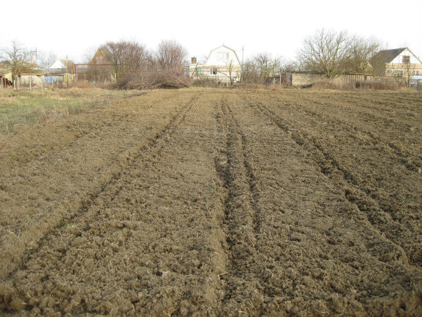圆盘耙耙花园图片下载