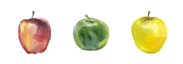 三个苹果水彩。图片下载