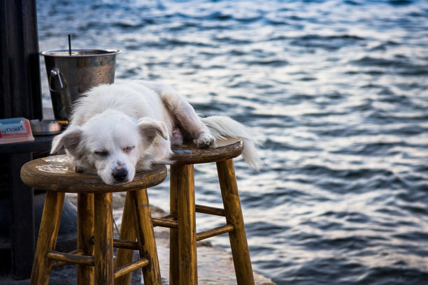 工作了一天后出去图片下载