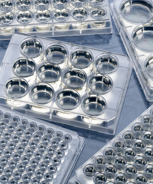 实验室的盘子图片下载